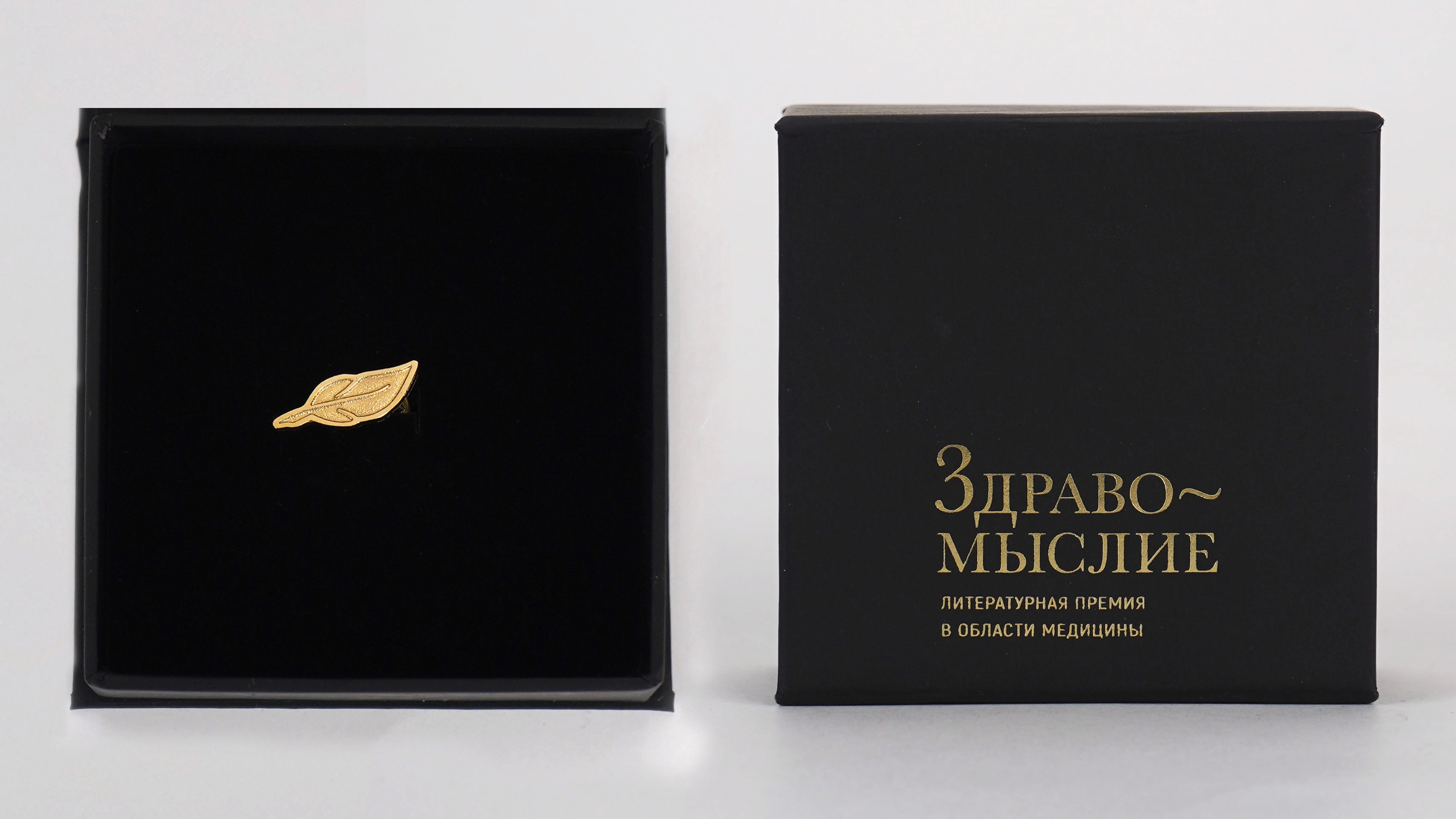 Здравомыслие — литературная премия в области медицины