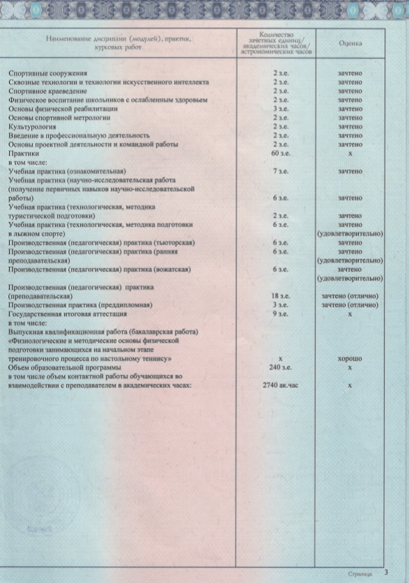 Фото приложения к диплому бакалавра по направлению «Педагогическое образование»