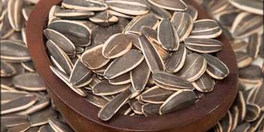 Употребление семечек при атеросклерозе
