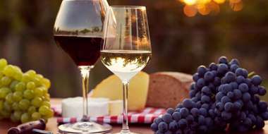 Польза и вред вина при атеросклерозе