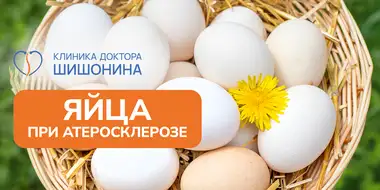 Польза и вред яиц при атеросклерозе