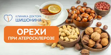 Польза и вред орехов при атеросклерозе
