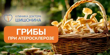 Польза и вред грибов при атеросклерозе