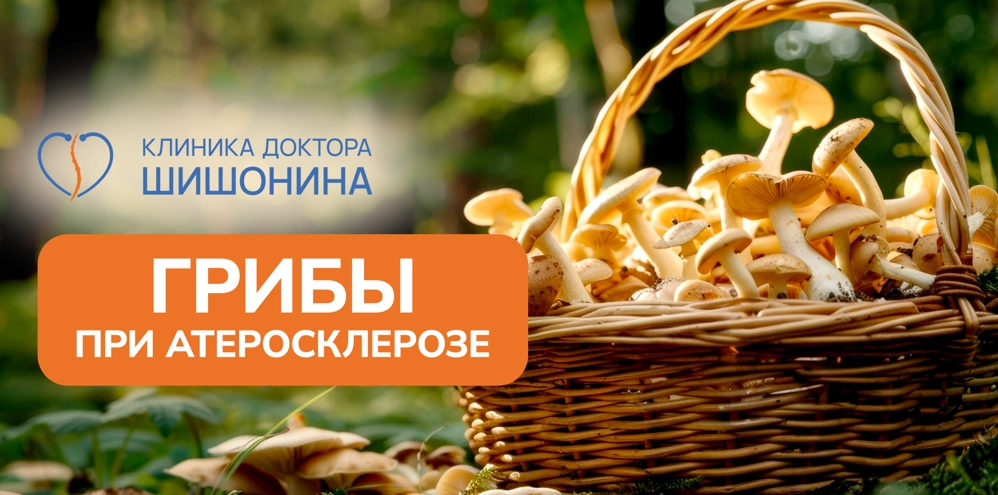 Польза и вред грибов при атеросклерозе