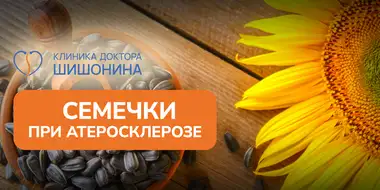 Употребление семечек при атеросклерозе