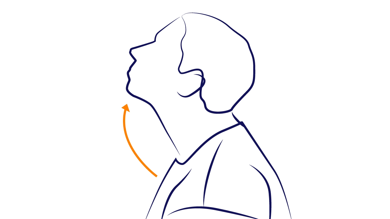 Упражнение доктора Шишонина для шеи
