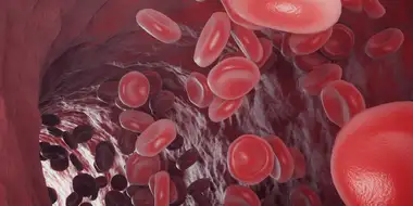 Омоложение организма по методу Шишонина