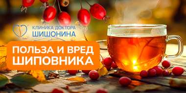 Полезные свойства шиповника