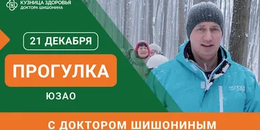 Анонс прогулки с доктором Шишониным на декабрь