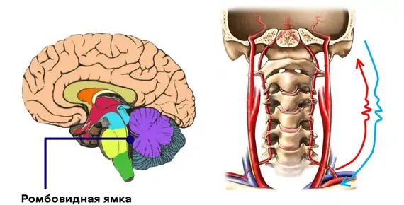 Ромбовидная ямка