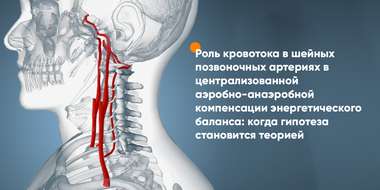 Про роль кровотока в шейных позвоночных артериях