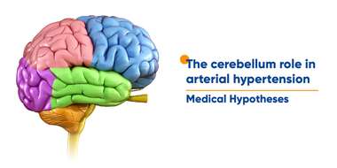 Роль мозжечка при артериальной гипертензии