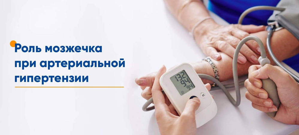 Роль мозжечка при артериальной гипертензии