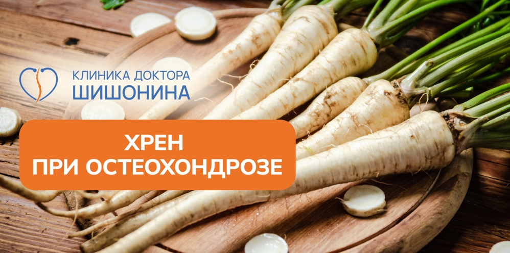 Листья хрена при остеохондрозе