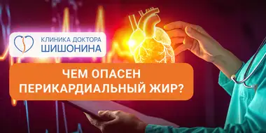 Фото к статье про перикардиальный жир