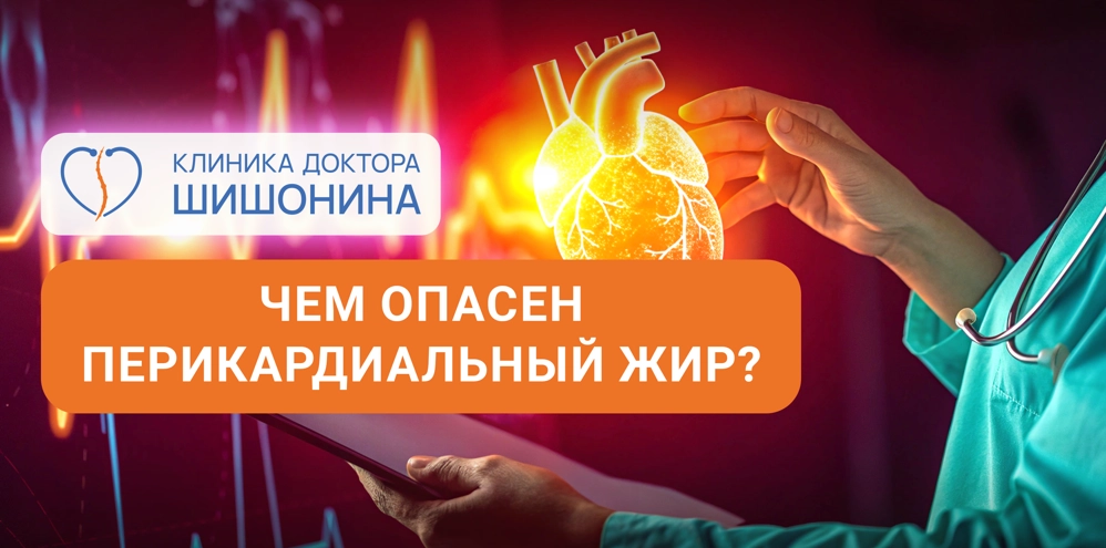 Фото к статье про перикардиальный жир