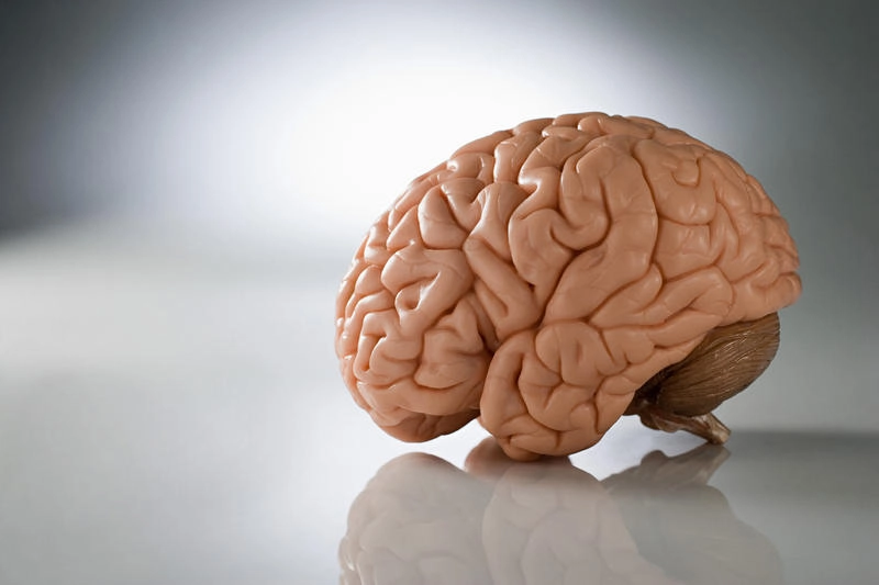 Профилактика хронических неинфекционных заболеваний в клинике доктора Шишонина