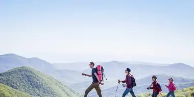 Омоложение организма по методике А. Ю. Шишонина