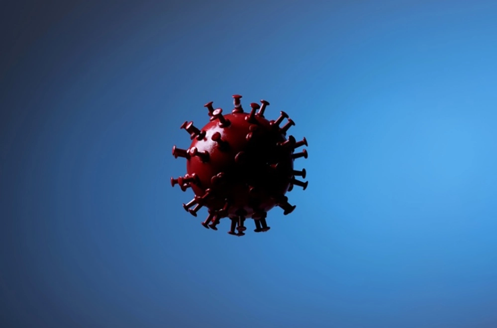 Взгляд А. Ю. Шишонина на эпидемиологическую ситуацию