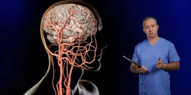 Исследования кардиологической ассоциации «Hypertension»