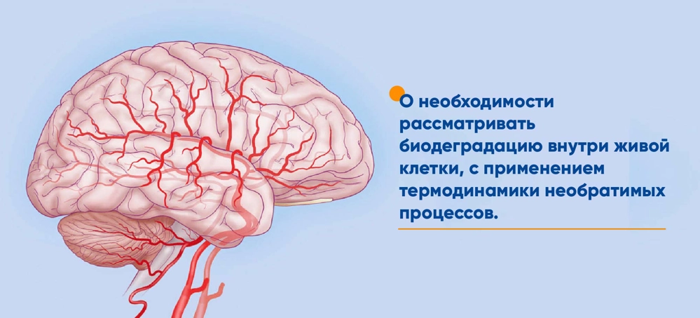Биодеградация внутри живой клетки, с применением термодинамики необратимых процессов