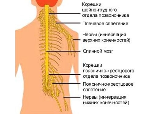 Симптомы